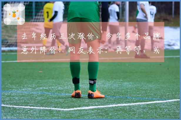 去年经历三次涨价，今年多个品牌意外降价！网友表示：再等等，或许还会进一步下调。